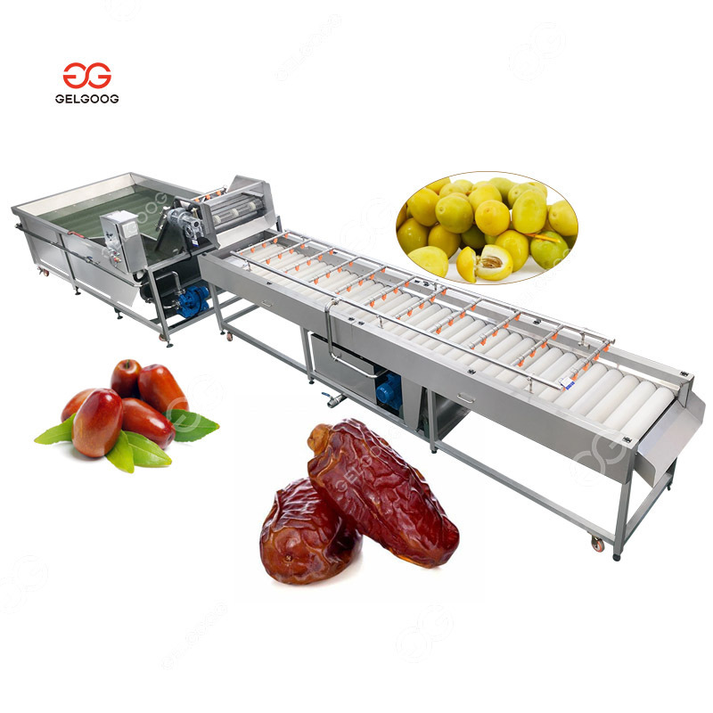 Fruits And Vegetables Gas Heating Continuous Blanching Machine