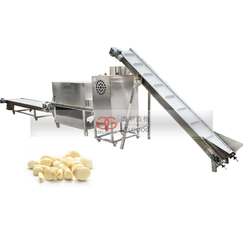 Gelgoog Industrial Garlic Processing Plant Solution  Crusher Separating Peeling Garlic Machine