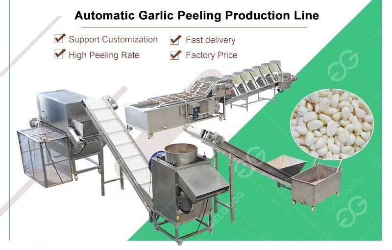 Gelgoog Industrial Garlic Processing Plant Solution  Crusher Separating Peeling Garlic Machine