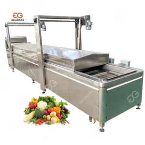 Fruits And Vegetables Gas Heating Continuous Blanching Machine