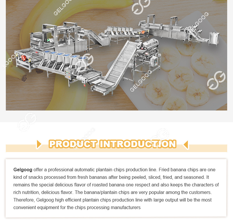 Gelgoog Apple Plantains Chips Making Machinery Production Line Semi Automatic Banana Chips Processing Line