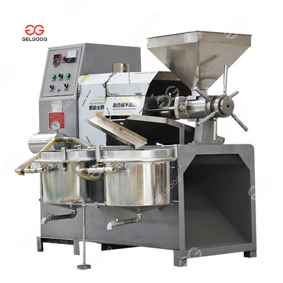 Guangzhou Automatic Rice Bran Rosehip Soybean Palm Kernel Oil Milling Sunflower Oil Press Machine