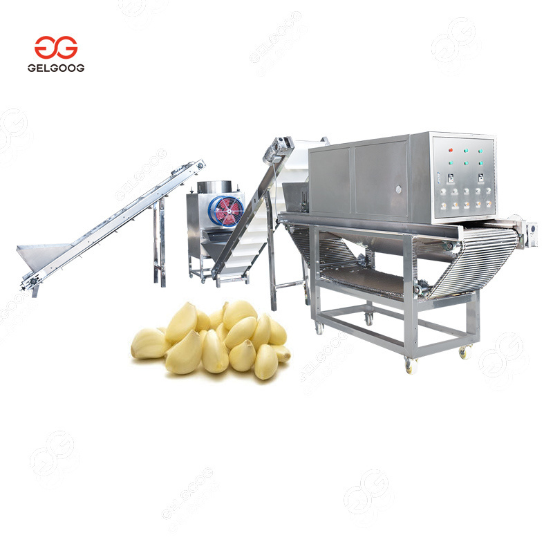 New Type Electric Garlic Peeler Price of Garlic Peeling Machine