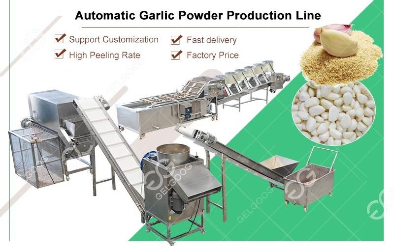 Gelgoog Automatic Garlic Peeling Production Line Garlic Peeler Line Nigeria Fresh Garlic Processing Machine