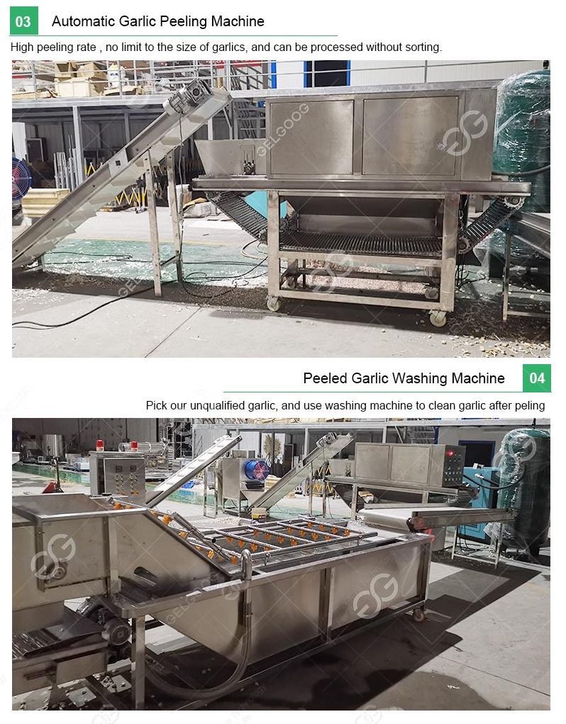 Small Automatic Garlic Peeling Production Line Commercial Garlic Peeler Peel Remover Machine Garlic Peeling Machine