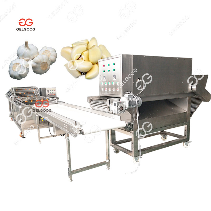 Electric Chain Garlic Allium Crusher Peeler Machine Garlic Peel Trade Machine For Peeling Garlic