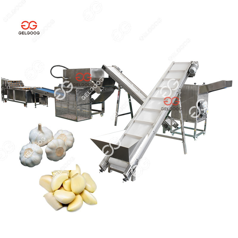 1Ton Small Chain Type Garlic Bulb Breaking Machine Industrial Garlic Peeler Garlic Peeling Machine