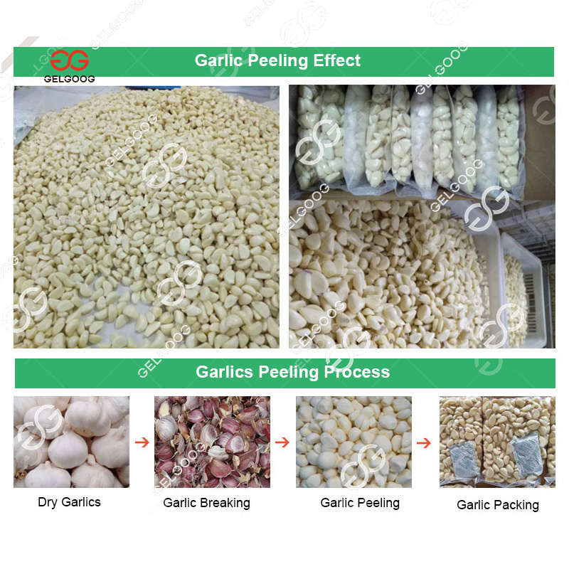 1Ton Small Chain Type Garlic Bulb Breaking Machine Industrial Garlic Peeler Garlic Peeling Machine