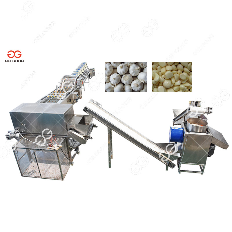 Small Automatic Garlic Peeling Production Line Commercial Garlic Peeler Peel Remover Machine Garlic Peeling Machine