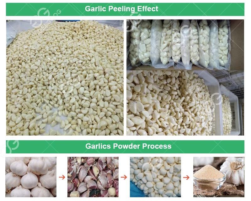 Gelgoog Automatic Garlic Peeling Production Line Garlic Peeler Line Nigeria Fresh Garlic Processing Machine