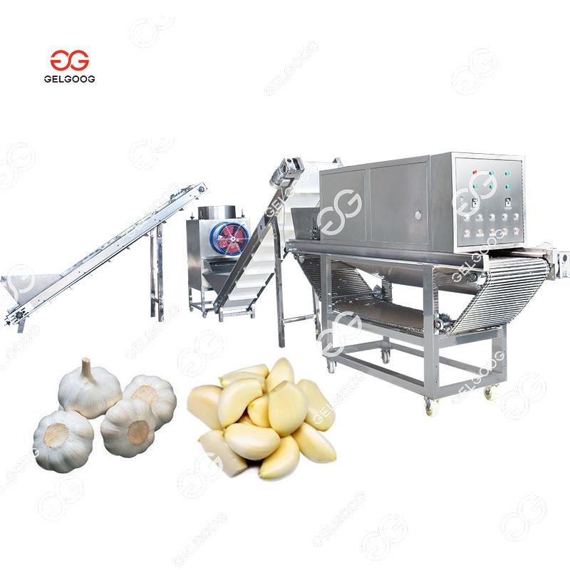 1Ton Small Chain Type Garlic Bulb Breaking Machine Industrial Garlic Peeler Garlic Peeling Machine