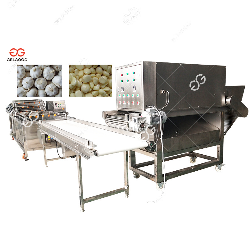 Small Automatic Garlic Peeling Production Line Commercial Garlic Peeler Peel Remover Machine Garlic Peeling Machine