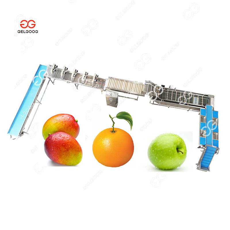 Citrus Fruit Washing Waxing Drying Sorting Machine Mango Wax Machine Passion Fruit Wash Waxing Machine For Mango