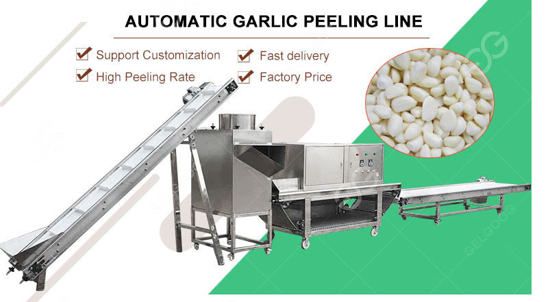 Small Automatic Garlic Peeling Production Line Commercial Garlic Peeler Peel Remover Machine Garlic Peeling Machine