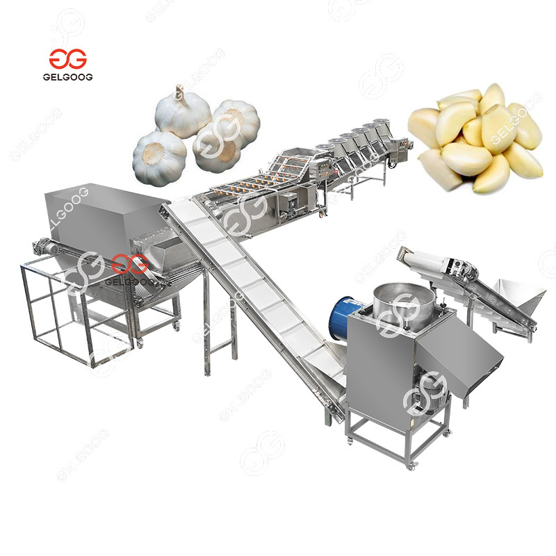 Garlic Processing Plant Garlic Bulb Break Make Separate Peeler Peel Machine Peeled Garlic Peeling Machine Price