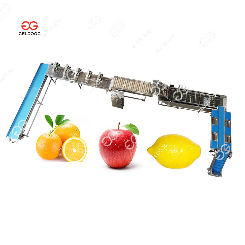 2 Ton/Hr Lemon Sorting Apple Washing And Waxing Machine Automatic Orange Mango Fruit Wash Waxing Machine