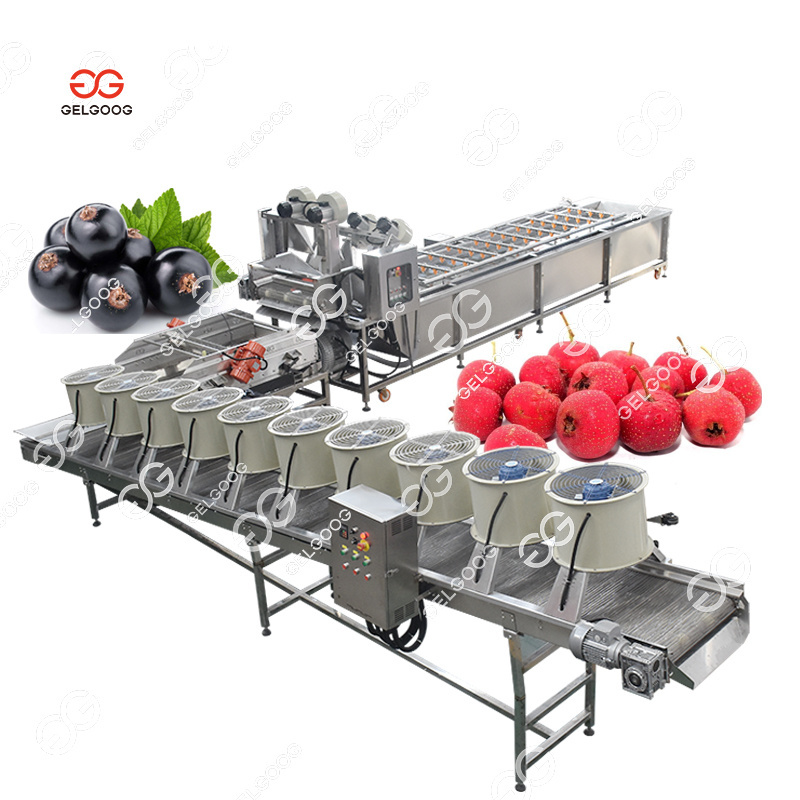 2 Ton/Hr Lemon Sorting Apple Washing And Waxing Machine Automatic Orange Mango Fruit Wash Waxing Machine