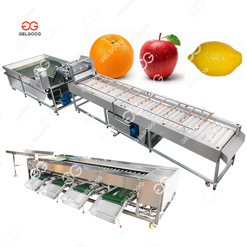 2 Ton/Hr Lemon Sorting Apple Washing And Waxing Machine Automatic Orange Mango Fruit Wash Waxing Machine