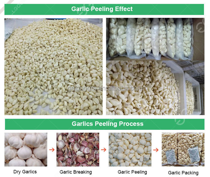 Small Automatic Garlic Peeling Production Line Commercial Garlic Peeler Peel Remover Machine Garlic Peeling Machine