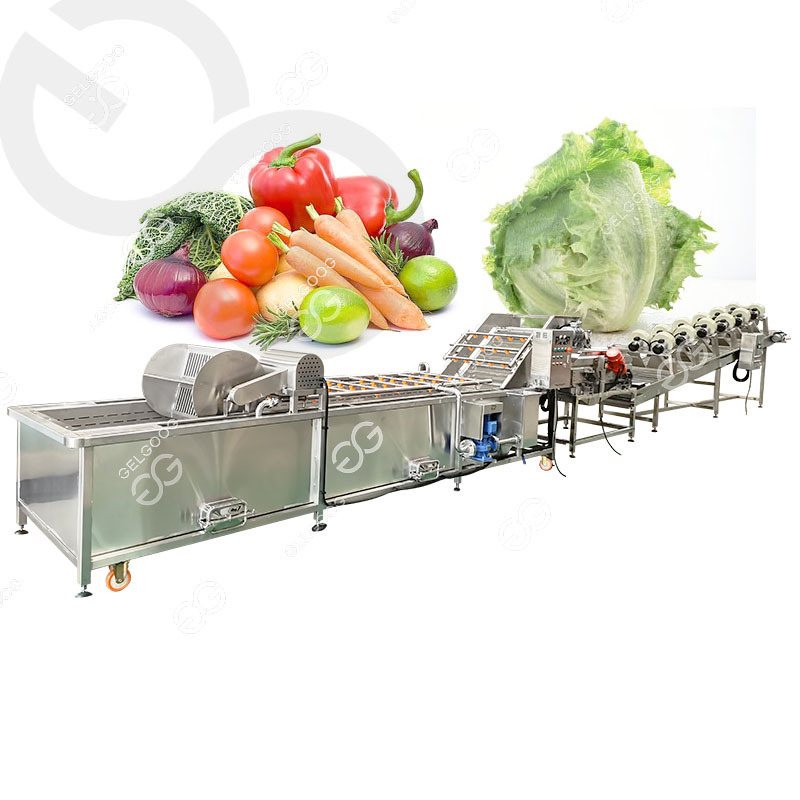 Gelgoog Sweet Corn Seaweed Washing Machine Carrot Potato Cleaning Paprika Fresh Chili Washing Machine