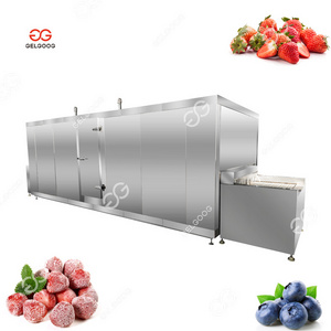 Gelgoog Customized Iqf Strawberry Food Quick Freezing Machine Iqf Blueberries Fast Freezing Machines