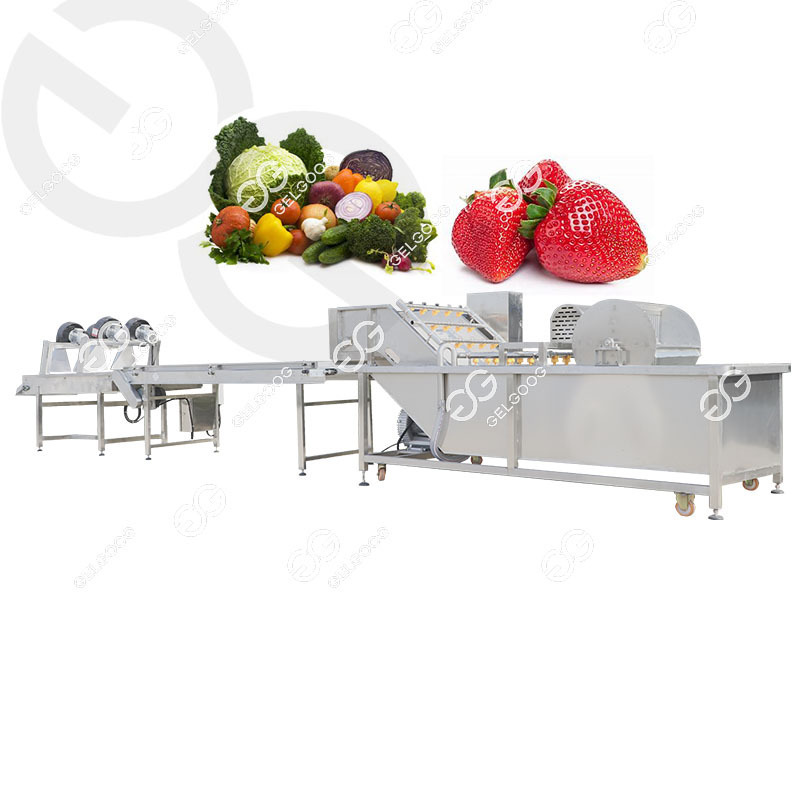 Gelgoog Grape Seed Cleaner Cherry Tomatoes Washer Wash Tomato Washing Line Tomato Cleaning Machine