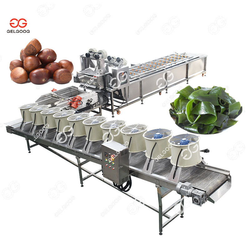 Raisin Cabbag Mushroom Leaf Vegetable Washing Machine Clam Spinach Cleaning Machine Onion Citrus Fruit Washing Machine