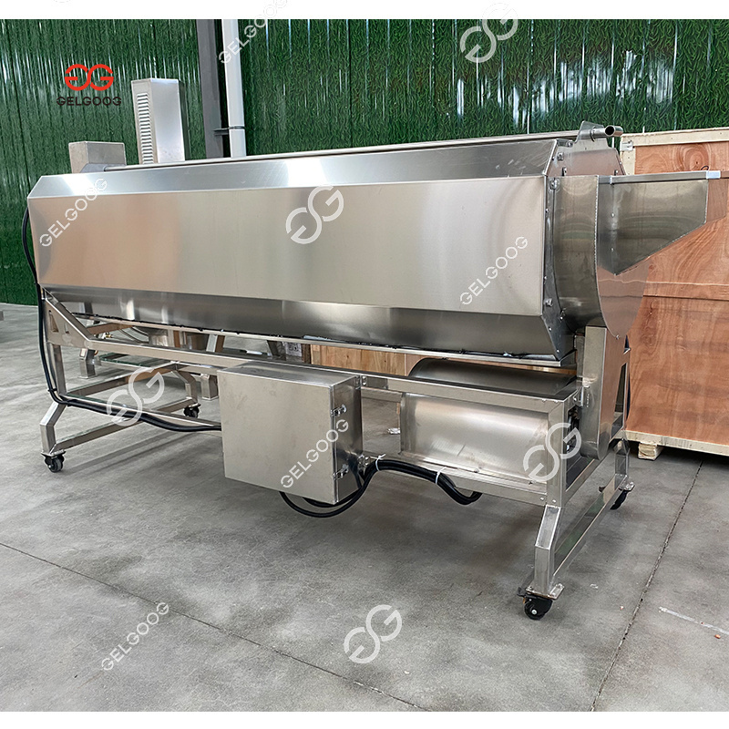 Ginger Cleaning Line Onion Ginger Slicing Slicer Washing And Peeling Machine High Pressure Ginger Washing Machine