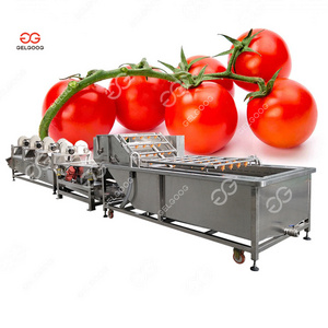 Gelgoog Grape Seed Cleaner Cherry Tomatoes Washer Wash Tomato Washing Line Tomato Cleaning Machine