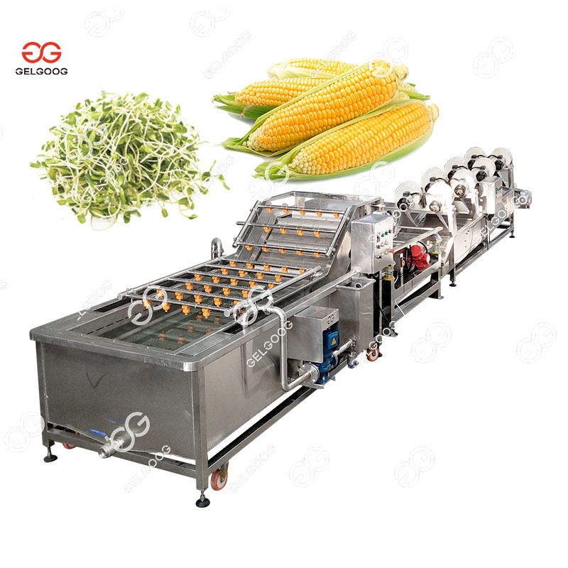 Gelgoog Sweet Corn Seaweed Washing Machine Carrot Potato Cleaning Paprika Fresh Chili Washing Machine