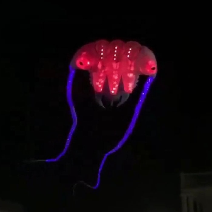 32sqm nylon 3D  trilobite  inflatable china led kite