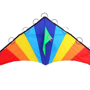 Chinese cheap simple new led light kite from the kite factory