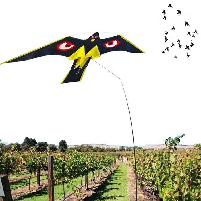 flying kite for bird repeller