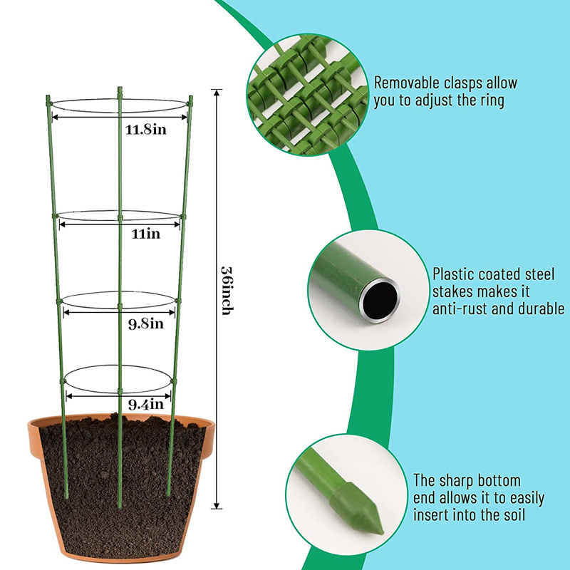 Hot Sale Galvanized Round Wire Planting Tomato Support Tomato Cage