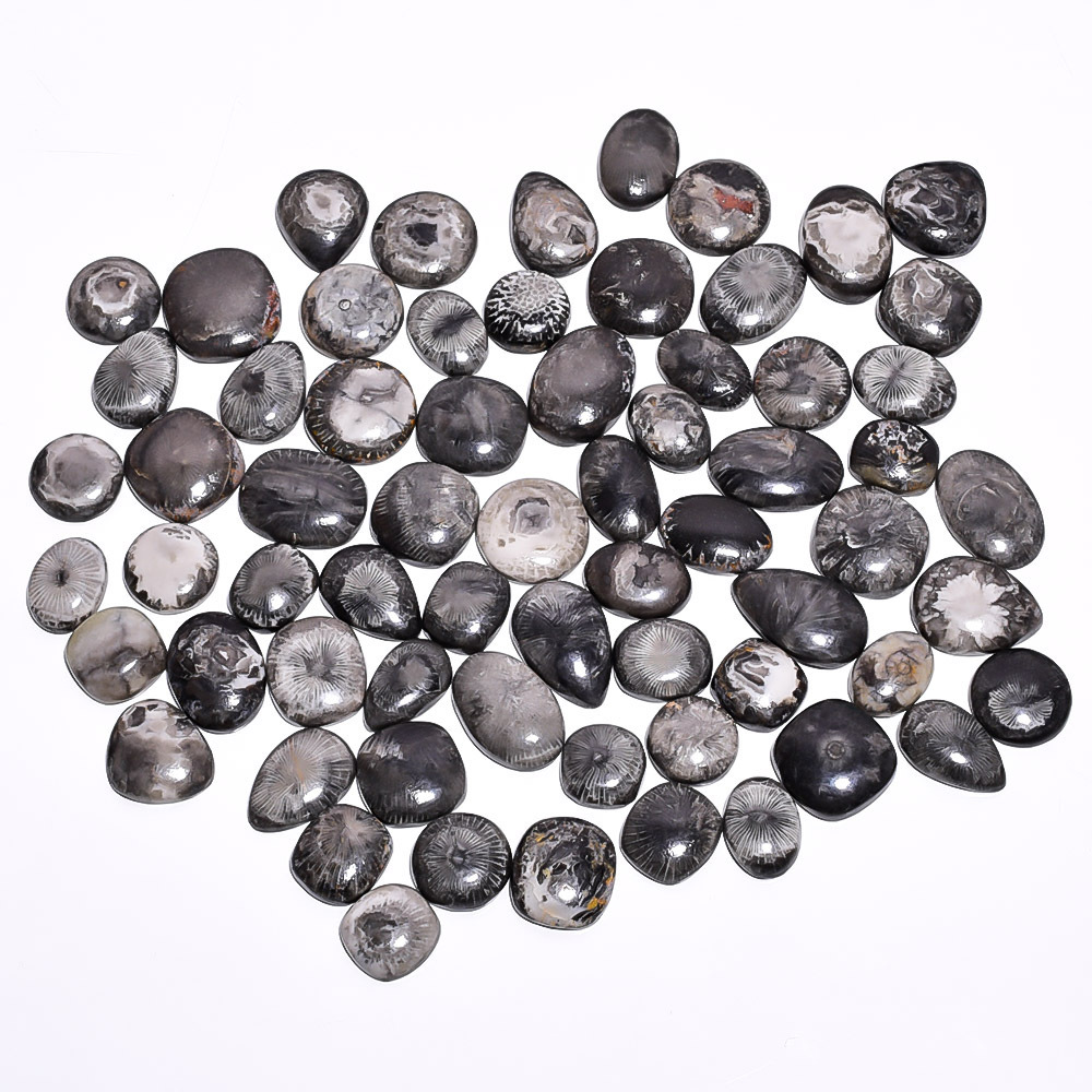 100% Natural Black Utah Coral Gemstones Cabochon mix shape Natural Coral Stone Jewelry Making Cabochon stones in all sizes