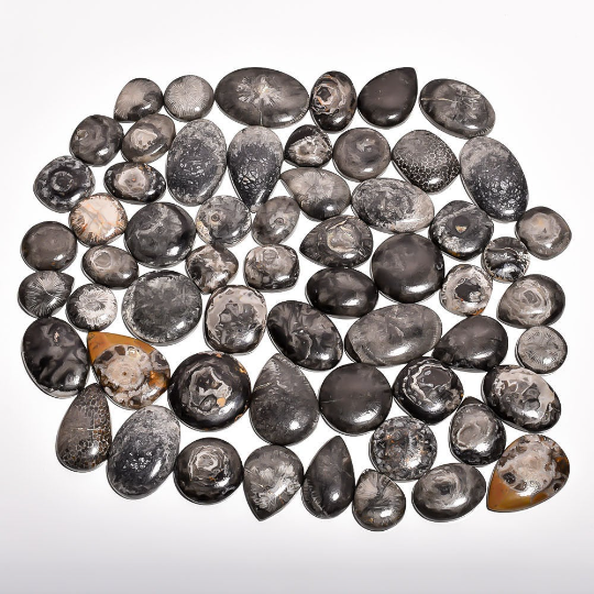 100% Natural Black Utah Coral Gemstones Cabochon mix shape Natural Coral Stone Jewelry Making Cabochon stones in all sizes