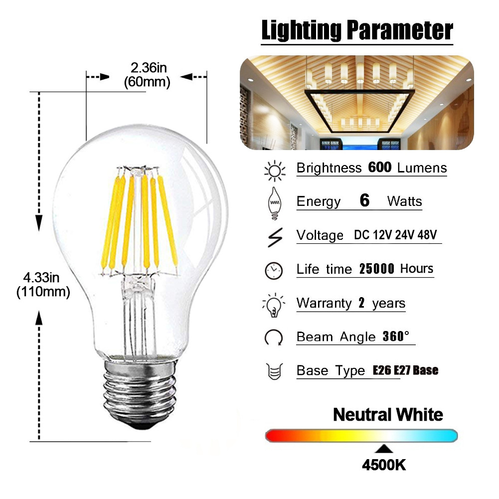 DC 12V 24V Led A19 A60 Filament Bulb Low Voltage 6W Globe Led Light Daylight White 4500K Warm White 2700K E27 E26 light bulb