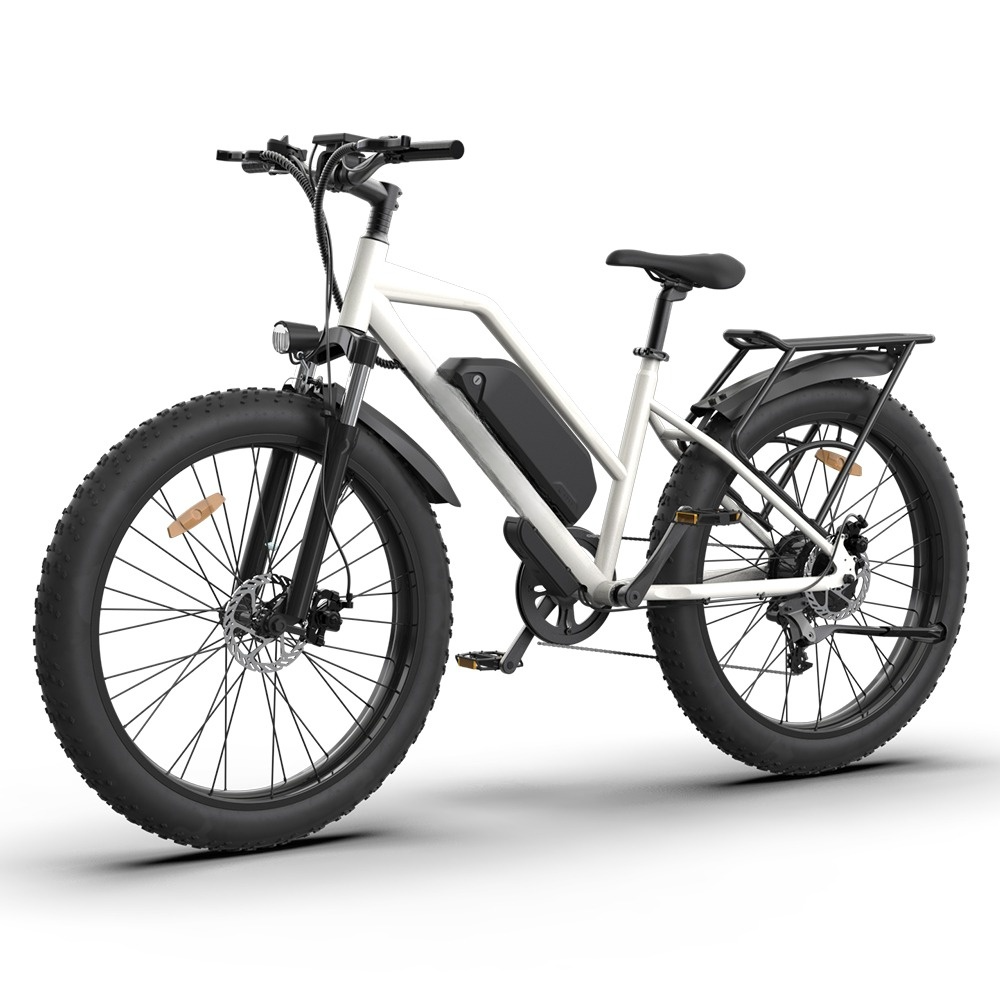 Lowrider Step Through 48V 750W Power Ebike Intelligent Pedal Assist 26*4.0 Inch Fat Tire Electric Mountain Bike Suit For Lady