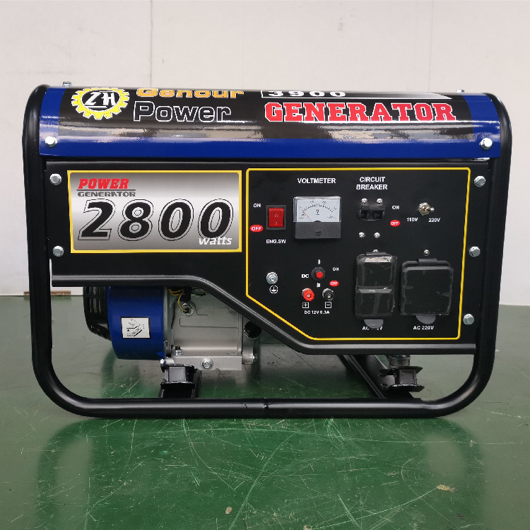 Power Value Double Voltage 2.8kw 3kw Ethanol Electric Generator with Small MOQ