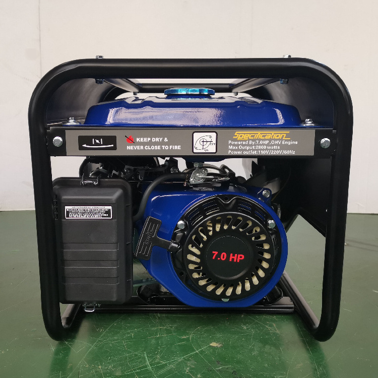 Power Value Double Voltage 2.8kw 3kw Ethanol Electric Generator with Small MOQ