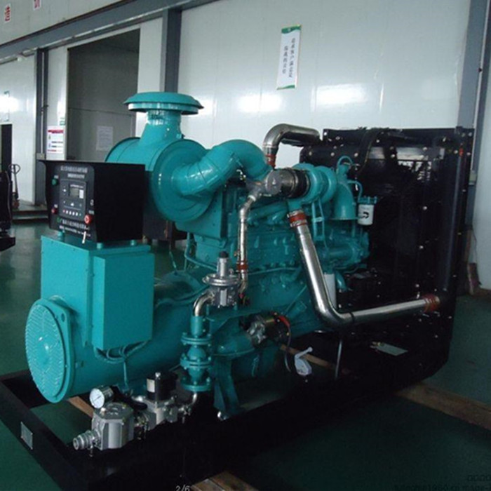 With Cummins engine methane biogas CNG Power 20kw 50kva 250kw Genset Plant Coal Natural Gas Generator 100kw