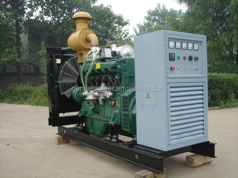 60hz 200kva natural gas fuel cell generator with Leroy Somer