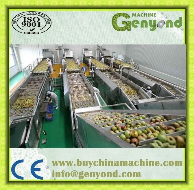 Top quality apple juice process plant / apple juice extracting press