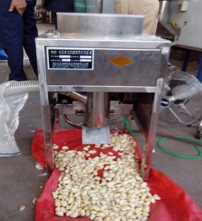 Small 100kgs hot sell dry garlic separator separating equipment onion peeling peeler machine price