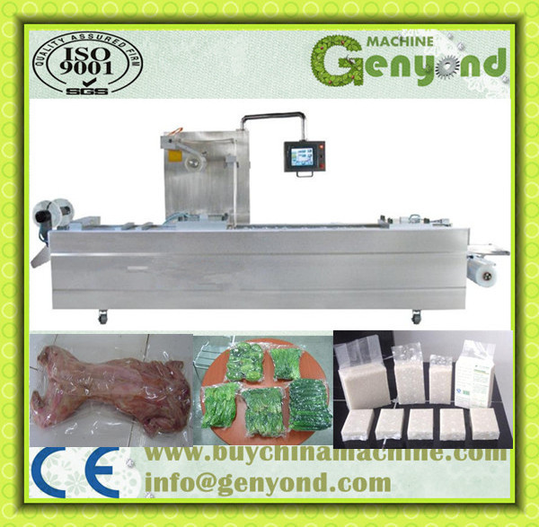 hot sales automatic vacuum packing machine for Fish Single Chamber Sealing Food