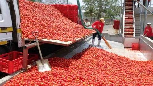 big capacity hot selling tomato sauce production line tomato sauce processing machinery