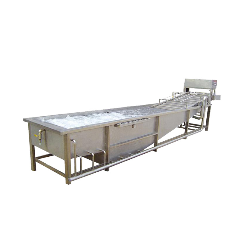 washing, cutting, blanching machine for fruit and vegetable processing line