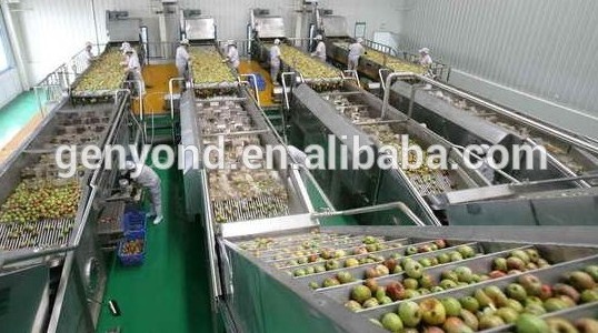 Fruit vegetable belt juice processing machine