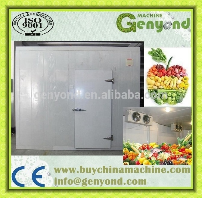 Apple/banana/orange/lemon Cold Storage,Cold Storage Room for sale