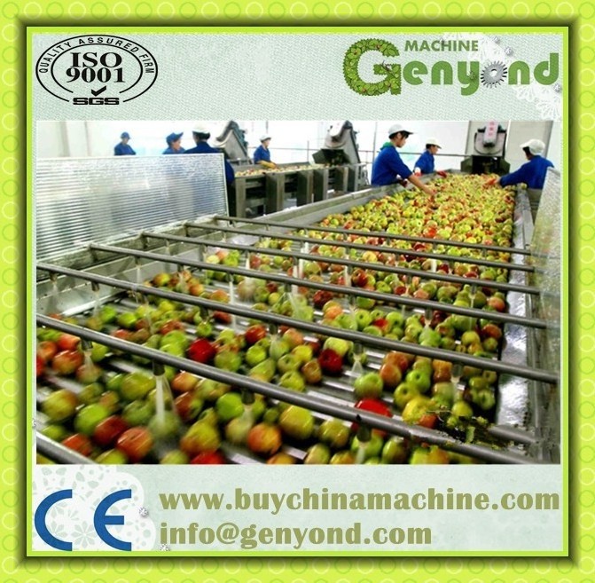 Top quality apple juice process plant / apple juice extracting press